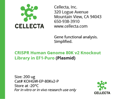 CRISPR Human Genome 80K Knockout Libraries