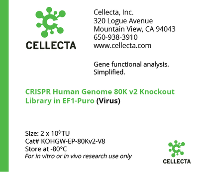 CRISPR Human Genome 80K Knockout Libraries