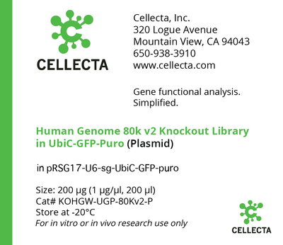 CRISPR Human Genome 80K Knockout Libraries