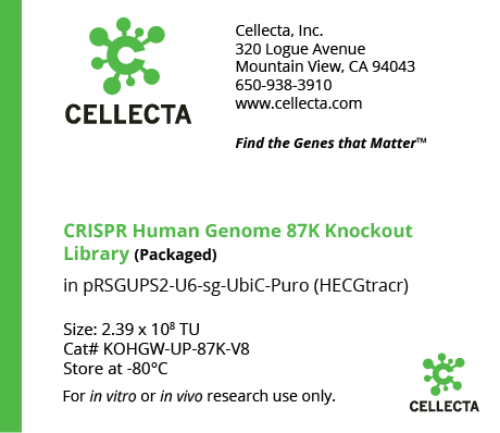 CRISPR Human Genome Knockout Libraries