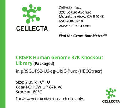 CRISPR Human Genome Knockout Libraries
