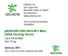 cDNA Cloning Vector with Single Transcript