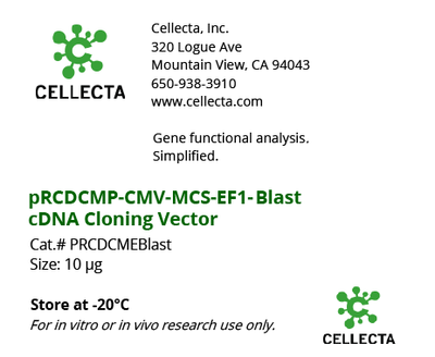 cDNA Cloning Vector with Single Transcript