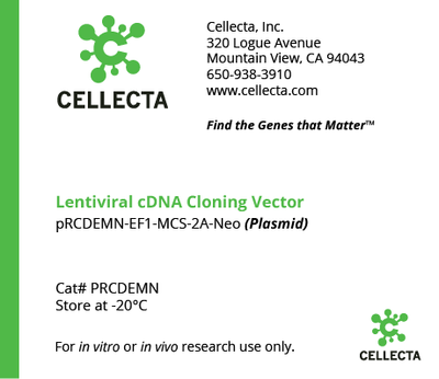 cDNA Cloning Vector with Single Transcript