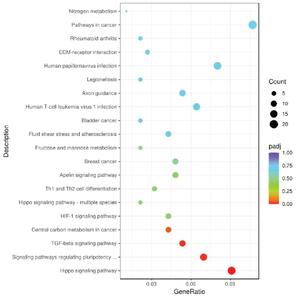 Targeted RNA-Seq Expression Analysis