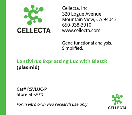 Lentivirus Expressing Luc with BlastR