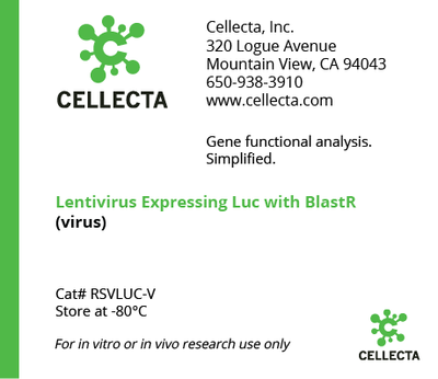 Lentivirus Expressing Luc with BlastR