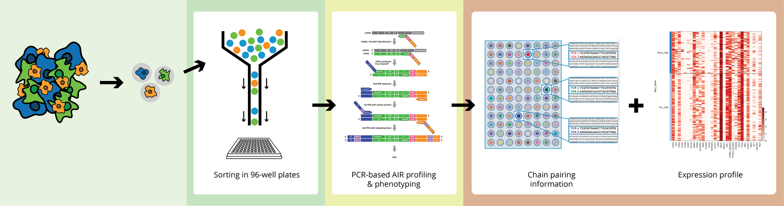 DriverMap Single-Cell AIR T-Cell and B-Cell Receptor Profiling Service