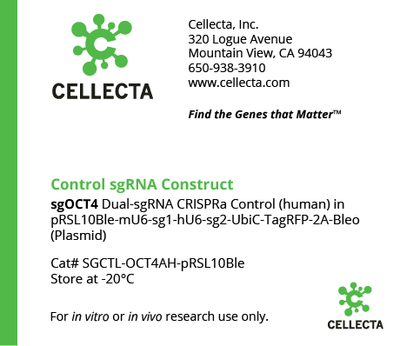 sgOCT4 CRISPRa Controls
