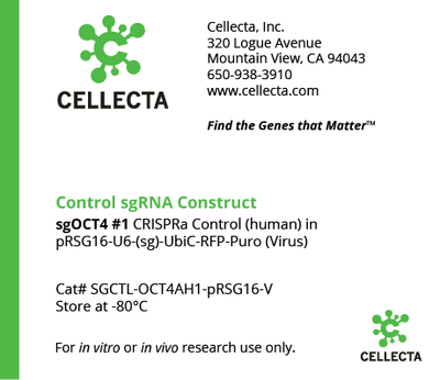 sgOCT4 CRISPRa Controls