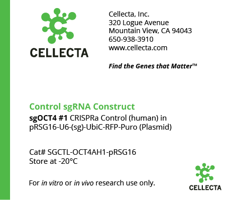 sgOCT4 CRISPRa Controls