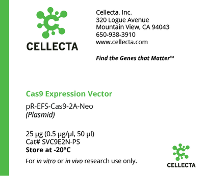 CRISPR Cas9 Expression Construct