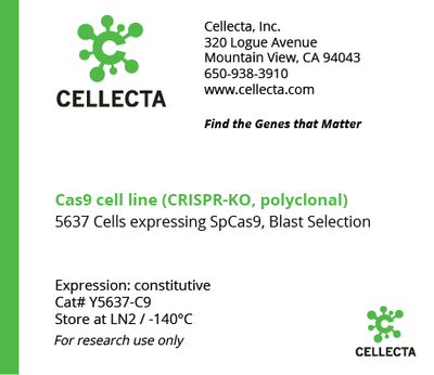 Cas9-Expressing Cell Lines for CRISPR KO - Y5637-C9