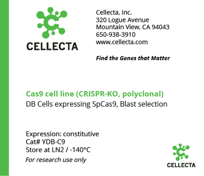 Cas9-Expressing Cell Lines for CRISPR KO - YDB-C9