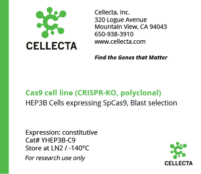 Cas9-Expressing Cell Lines for CRISPR KO - YHEP3B-C9