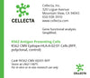 K562 Antigen Presenting Cells