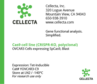 Cas9-Expressing Cell Lines for CRISPR KO