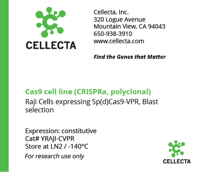 dCas9-Expressing Cell Lines for CRISPRa - YRAJI-CVPR