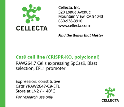 Cas9-Expressing Cell Lines for CRISPR KO - YRAW2647-C9-EFL