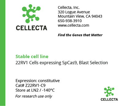 Cas9-Expressing Cell Lines for CRISPR KO - Z22RV1-C9