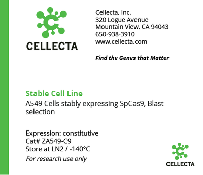 Cas9-Expressing Cell Lines for CRISPR KO - ZA549-C9