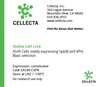 dCas9-Expressing Cell Lines for CRISPRa - ZA549-CVPR