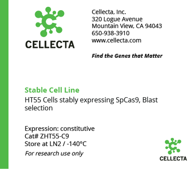 Cas9-Expressing Cell Lines for CRISPR KO - ZHT55-C9