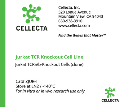 Jurkat TCR Reporter Cell Lines