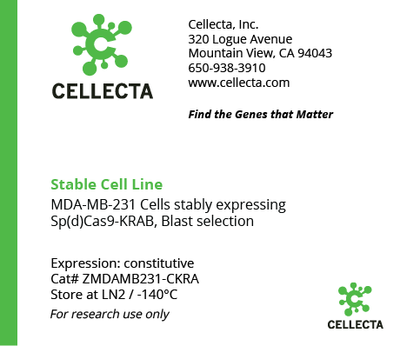 dCas9-Expressing Cell Lines for CRISPRi - ZMDAMB231-CKRA