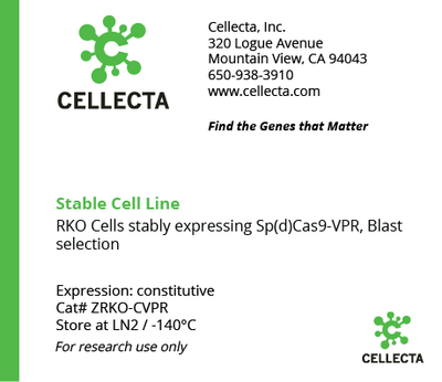 dCas9-Expressing Cell Lines for CRISPRa - ZRKO-CVPR