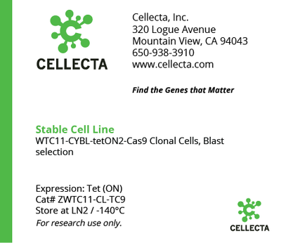 Cas9-Expressing Cell Lines for CRISPR KO