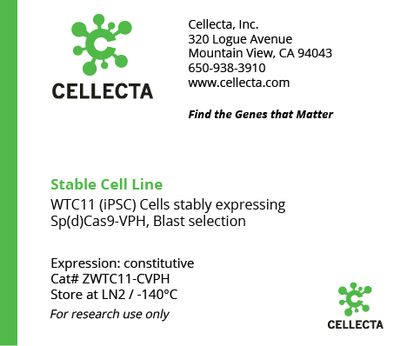 dCas9-Expressing Cell Lines for CRISPRa - ZWTC11-CVPH