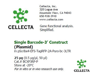Cellecta Single Barcode-3' Construct (Plasmid) BCXP3RP-P