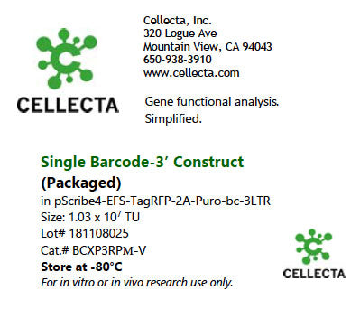Cellecta Single Barcode-3' Construct (Packaged) BCXP3RPM-V