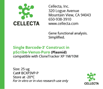 Cellecta Single Barcode-3' Construct in pScribe-Venus-Pro (Plasmid) BCXP3VP-P