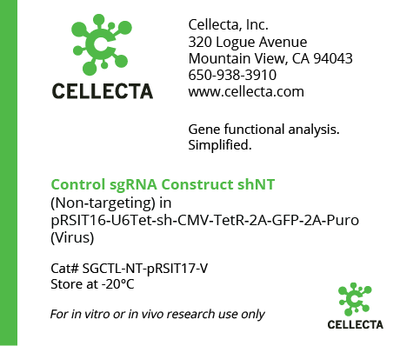 Cellecta, Control sgRNA Construct shNT, SGCTL-NT-pRSIT17-V