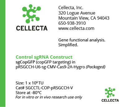 Cellecta Control sgRNA Construct SGCCTL-COP-pRSGCCH-V