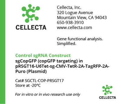 Cellecta Control sgRNA Construct SGCTL-COP-pRSGT17