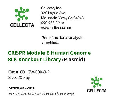 Cellecta CRISPR Module B Human Genome 80k Knockout Library (Plasmid) KOHGW-80K-B-P