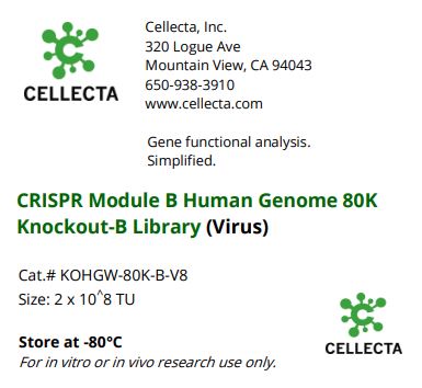Cellecta CRISPR Module B Human Genome 80k Knockout-B Library (Virus) KOHGW-80K-B-V8