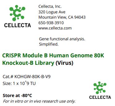 Cellecta CRISPR Module B Human Genome 80K Knockout-B Library (Virus) KOHGW-80K-B-V9