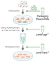 LentiFuge™ Viral Concentration Reagent