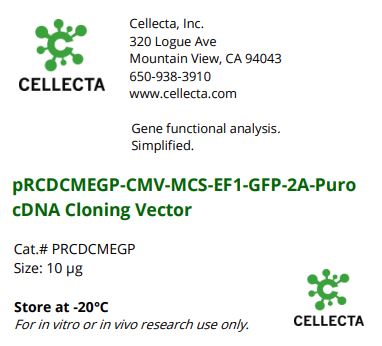 Cellecta pRCECMEGP-CMV-MCS-EF1-GFP-2A-Puro cDNA Cloning Vector PRCDCMEGP