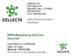 Cellecta DPP4-Expressing Cell Line RMCOV-CDPP4HE