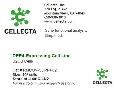 Cellecta DPP4-Expressing Cell Line RMCOV-CDPP4U2