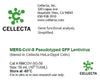 Cellecta MERS-CoV-S Pseudotyped GFP Lentivirus RMCOV-SG-50