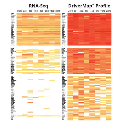 DriverMap Targeted RNA Sequencing Expression Profiling Service