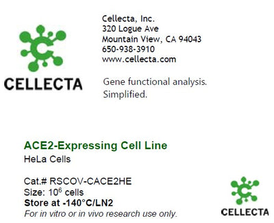 Cellecta ACE2-Expressing Cell Line - HeLa Cells RSCOV-CACE-2HE