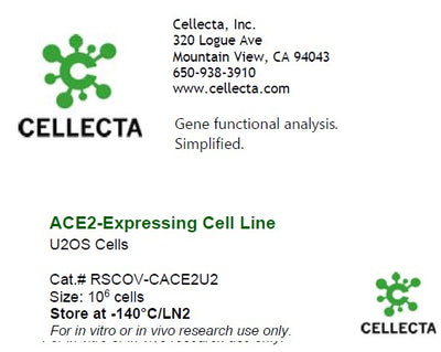 Cellecta ACE2-Expressing Cell Line - U2OS Cells RSCOV-CACE2U2