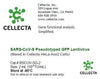 Cellecta SARS-CoV-S Pseudotyped GFP Lentivirus RSCOV-SG-2